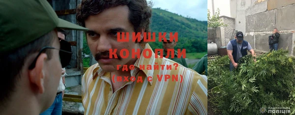 гашик Белоозёрский